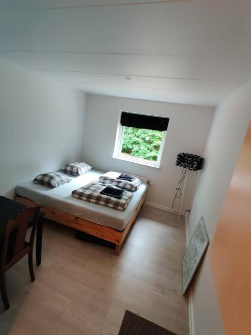 Little Centrum Apartment! No.11 Lejlighed *